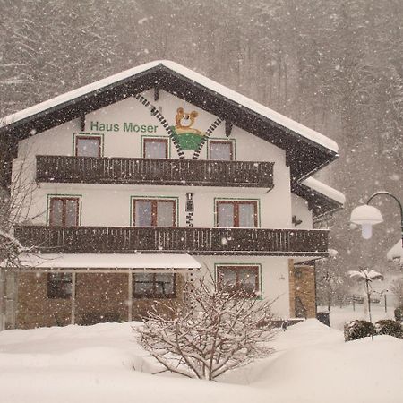 Haus Moser Wörschach Dış mekan fotoğraf