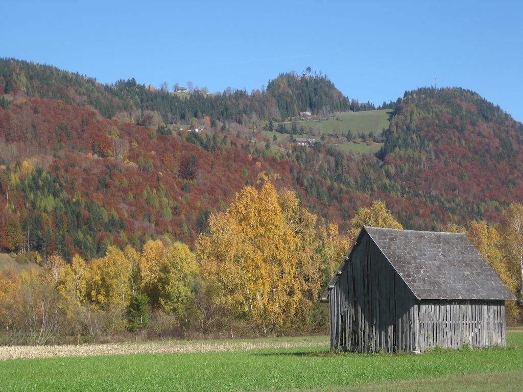 Haus Moser Wörschach Dış mekan fotoğraf
