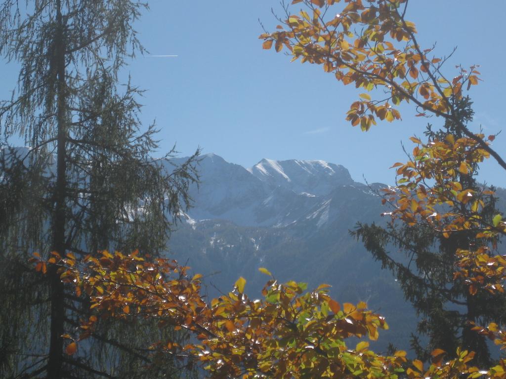 Haus Moser Wörschach Dış mekan fotoğraf