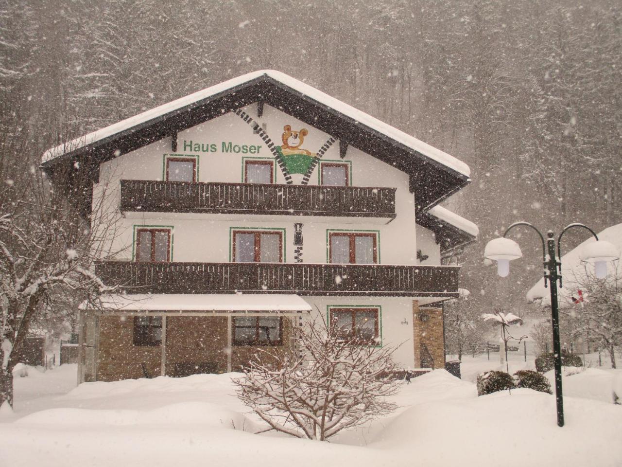 Haus Moser Wörschach Dış mekan fotoğraf